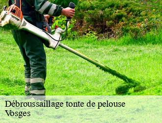 Débroussaillage tonte de pelouse Vosges