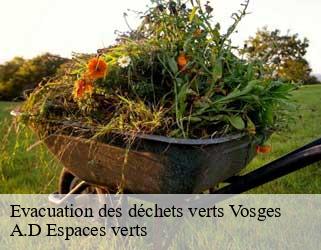 Evacuation des déchets verts 88 Vosges  A.D Espaces verts