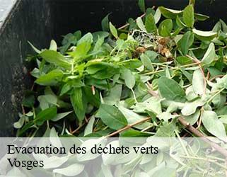 Evacuation des déchets verts Vosges 