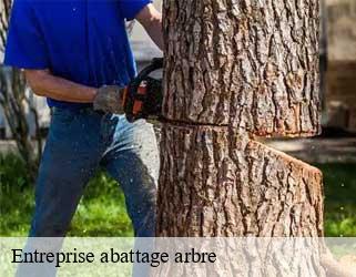 Entreprise abattage arbre