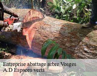 Entreprise abattage arbre 88 Vosges  A.D Espaces verts