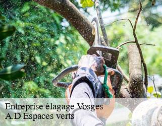 Entreprise élagage 88 Vosges  A.D Espaces verts