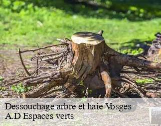 Dessouchage arbre et haie 88 Vosges  A.D Espaces verts