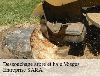 Dessouchage arbre et haie 88 Vosges Entreprise SARA