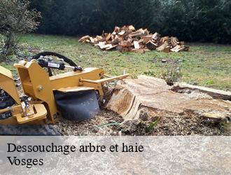 Dessouchage arbre et haie Vosges