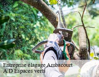 Entreprise élagage  ambacourt-88500 A.D Espaces verts