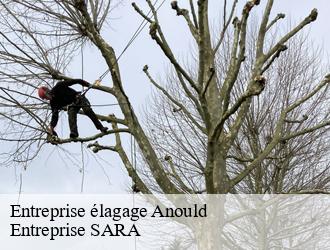 Entreprise élagage anould-88650 Entreprise SARA
