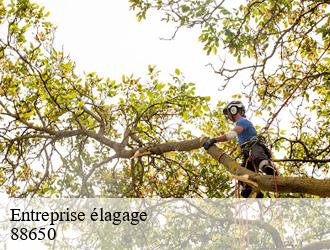 Entreprise élagage 88650