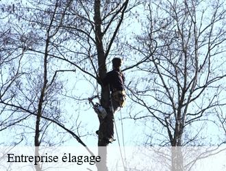 Entreprise élagage