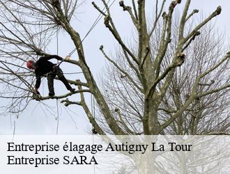 Entreprise élagage  autigny-la-tour-88300 Entreprise SARA