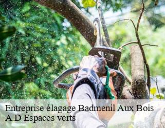 Entreprise élagage  badmenil-aux-bois-88330 A.D Espaces verts
