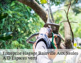 Entreprise élagage  bainville-aux-saules-88270 A.D Espaces verts