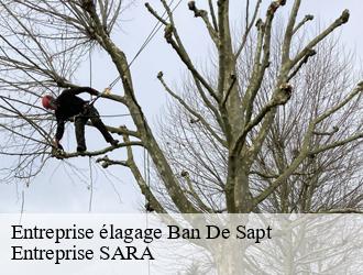 Entreprise élagage ban-de-sapt-88210 Entreprise SARA