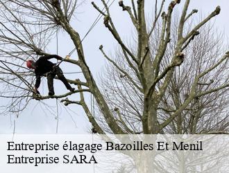 Entreprise élagage bazoilles-et-menil-88500 Entreprise SARA