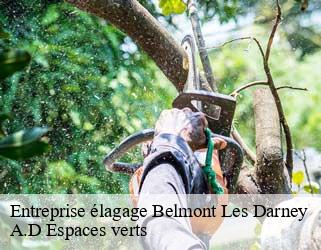 Entreprise élagage  belmont-les-darney-88260 A.D Espaces verts
