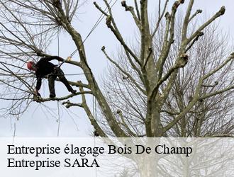 Entreprise élagage  bois-de-champ-88600 Entreprise SARA