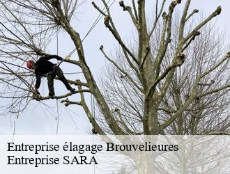 Entreprise élagage brouvelieures-88600 Entreprise SARA