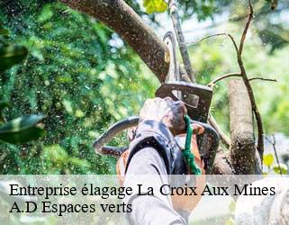 Entreprise élagage  la-croix-aux-mines-88520 A.D Espaces verts