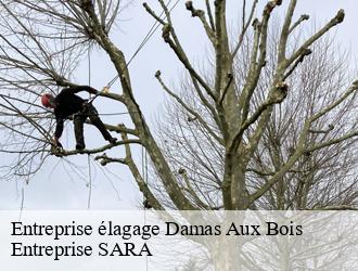 Entreprise élagage damas-aux-bois-88330 Entreprise SARA