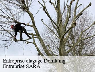 Entreprise élagage  domfaing-88600 Entreprise SARA