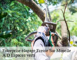 Entreprise élagage  fresse-sur-moselle-88160 A.D Espaces verts