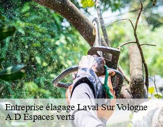 Entreprise élagage  laval-sur-vologne-88600 A.D Espaces verts