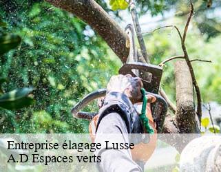 Entreprise élagage  lusse-88490 A.D Espaces verts