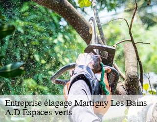 Entreprise élagage  martigny-les-bains-88320 A.D Espaces verts