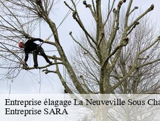Entreprise élagage  la-neuveville-sous-chaten-88170 Entreprise SARA