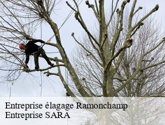 Entreprise élagage  ramonchamp-88160 Entreprise SARA