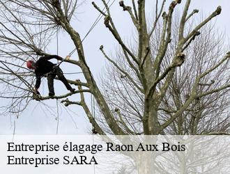 Entreprise élagage  raon-aux-bois-88220 Entreprise SARA