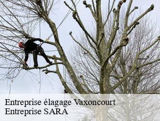 Entreprise élagage vaxoncourt-88330 Entreprise SARA