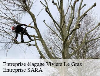 Entreprise élagage  viviers-le-gras-88260 Entreprise SARA
