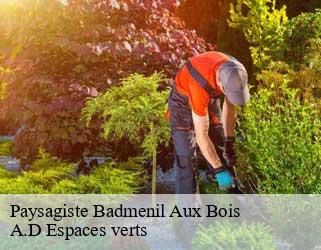 Paysagiste  badmenil-aux-bois-88330 A.D Espaces verts