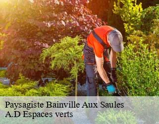 Paysagiste  bainville-aux-saules-88270 A.D Espaces verts