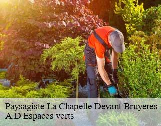 Paysagiste  la-chapelle-devant-bruyeres-88600 A.D Espaces verts