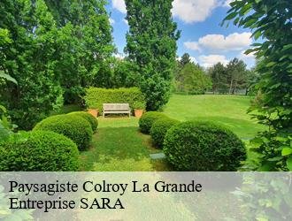 Paysagiste colroy-la-grande-88490 Entreprise SARA