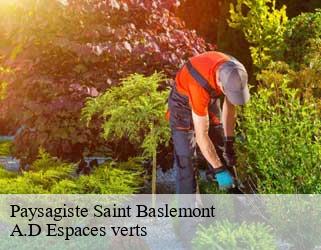Paysagiste  saint-baslemont-88260 A.D Espaces verts