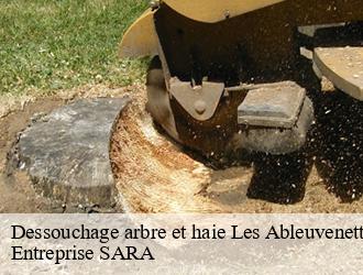 Dessouchage arbre et haie les-ableuvenettes-88270 Entreprise SARA