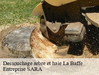 Dessouchage arbre et haie la-baffe-88460 Entreprise SARA