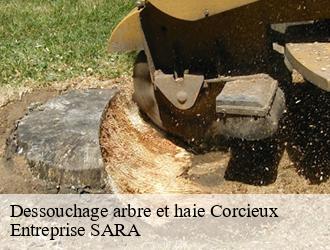 Dessouchage arbre et haie corcieux-88430 Entreprise SARA