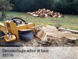 Dessouchage arbre et haie 88330