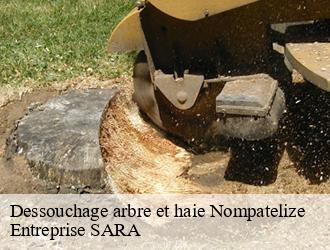 Dessouchage arbre et haie nompatelize-88470 Entreprise SARA