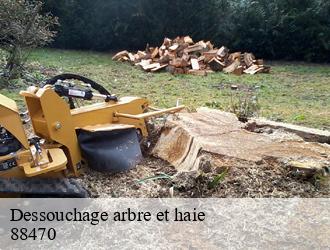 Dessouchage arbre et haie 88470