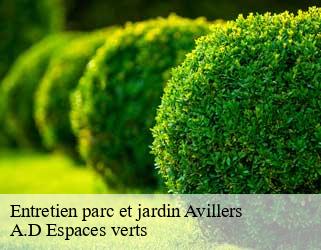 Entretien parc et jardin  avillers-88500 A.D Espaces verts