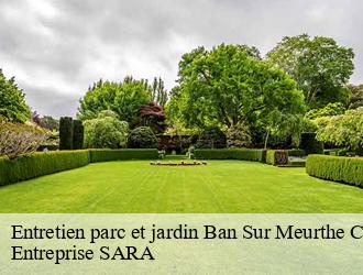 Entretien parc et jardin ban-sur-meurthe-clefcy-88230 Entreprise SARA