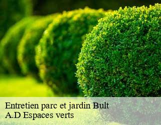 Entretien parc et jardin  bult-88700 A.D Espaces verts