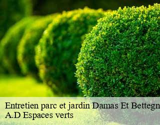 Entretien parc et jardin  damas-et-bettegney-88270 A.D Espaces verts