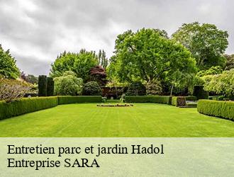 Entretien parc et jardin hadol-88220 Entreprise SARA