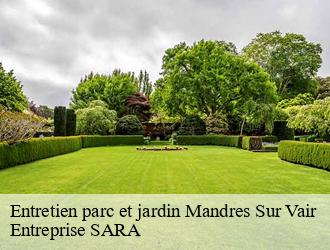 Entretien parc et jardin mandres-sur-vair-88800 Entreprise SARA